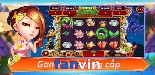 fanvin
